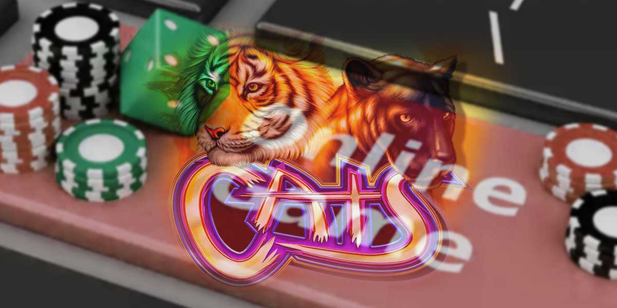 cats slot on notebook background
